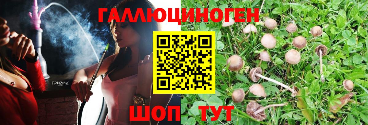 Новошахтинск  Псилоцибиновые грибы мицелий  Галлюциногенные грибы мицелий  Вход с VPN 